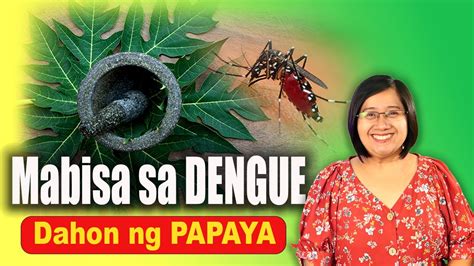 dengue clean up day sanhi at bunga|Dengue .